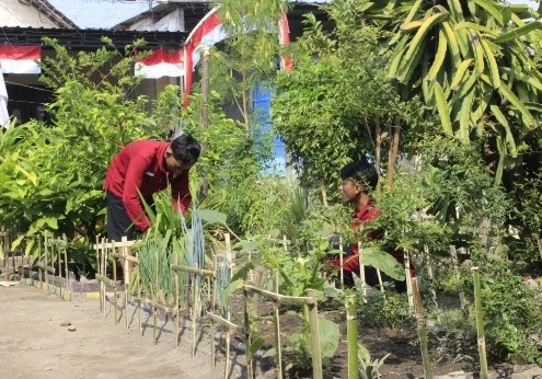 Mahasiswa KKN Kelompok 8 UNUSIDA Kembangkan Taman TOGA Digital di Desa Kedungsolo (Foto: Amita Fatmasari Dewi)
