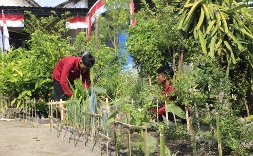 Mahasiswa KKN Kelompok 8 UNUSIDA Kembangkan Taman TOGA Digital di Desa Kedungsolo (Foto: Amita Fatmasari Dewi)