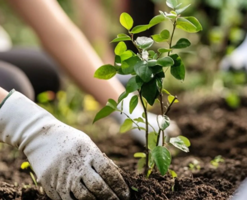 Gerakan Satu Juta Pohon (Foto: Istimewa)